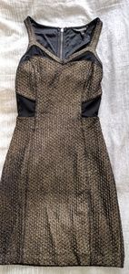 New Express Gold Dress with Sheer Mesh Insets